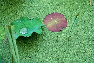 《魔戒：咕噜》《钢之崛起》PC版将支持光追